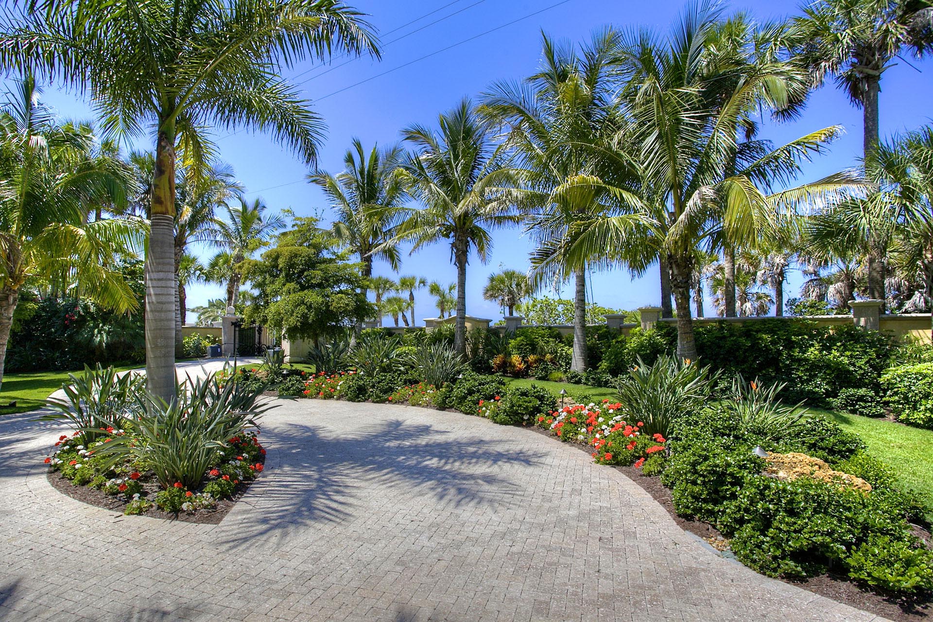 Tropical Landscape Remodel