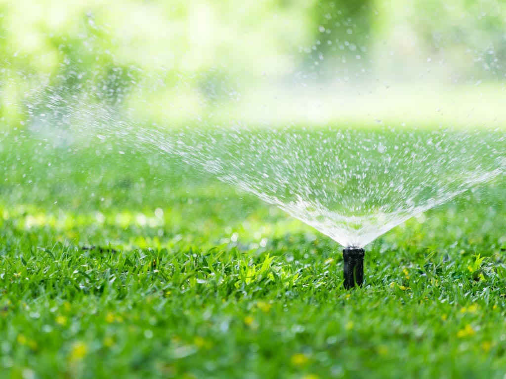 Irrigation Services Sarasota FL