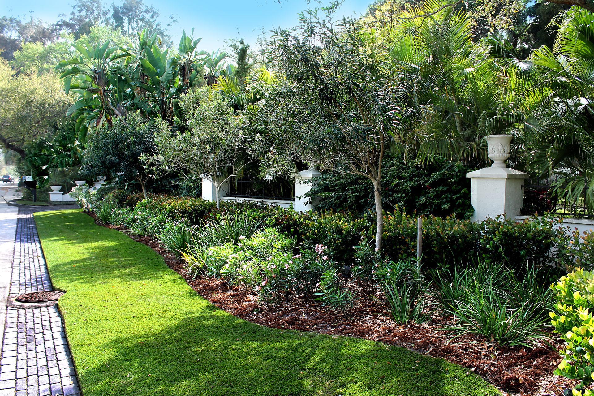 Siesta Key Landscape