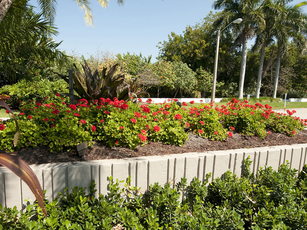 HOA Landscaping