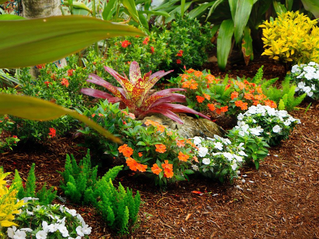 Mulching Service Sarasota FL