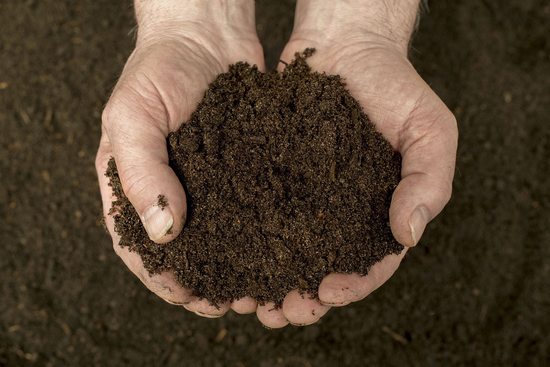 Tips to Improve Soil Health for Greener Landscaping