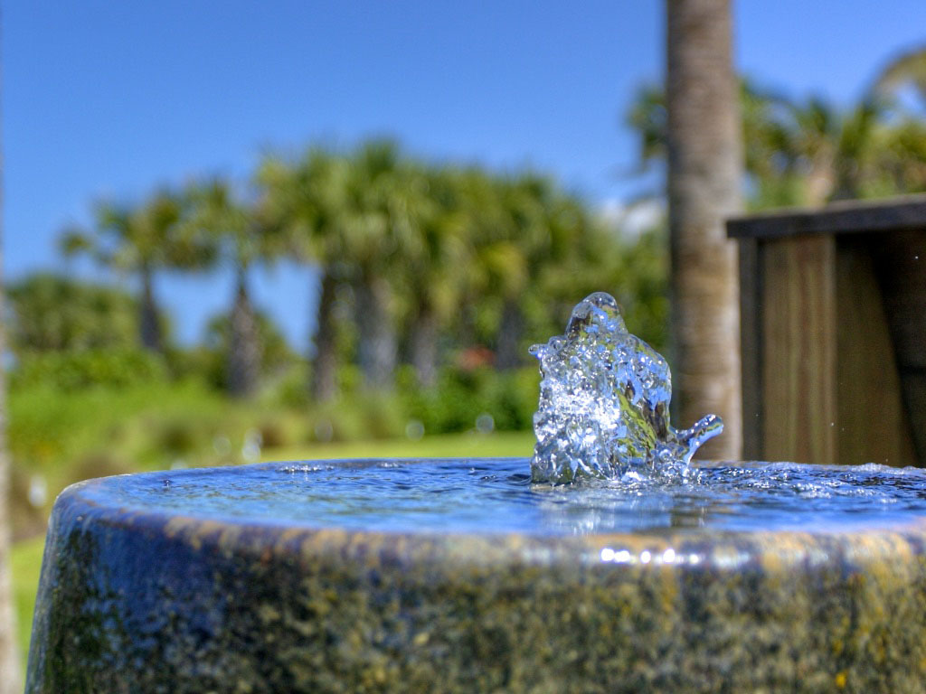 Landscape Water Features