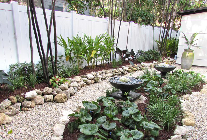 Xeriscaped Path And Garden