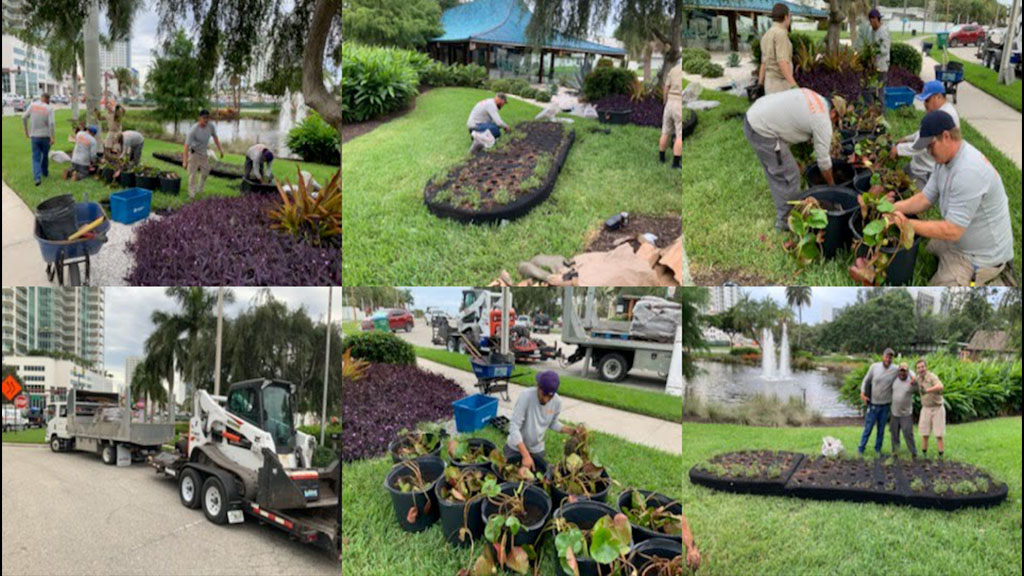 The Bay Sarasota Project Floating Plant Installation