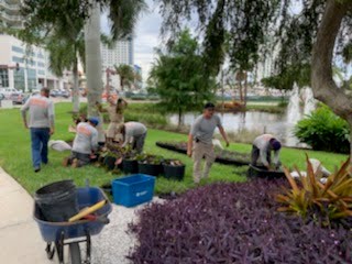 Sarasota Blue Pagoda Garden Club Landscape The Bay Sarasota