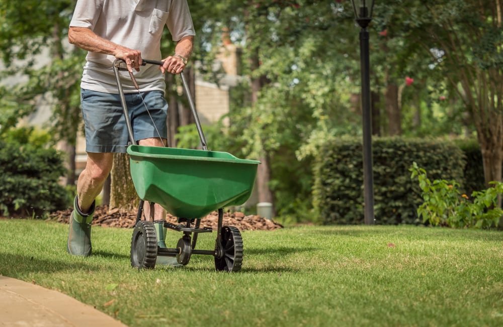 How to Use Less Fertilizing in Your Landscape
