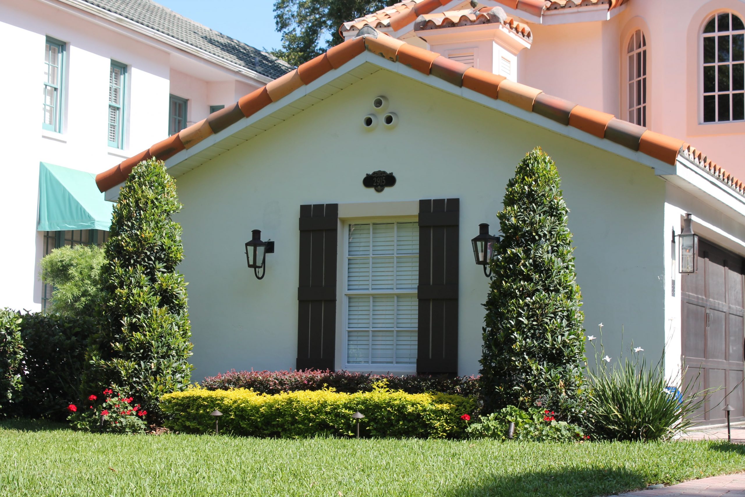 Best Non-Native Trees for Sarasota/Manatee Market